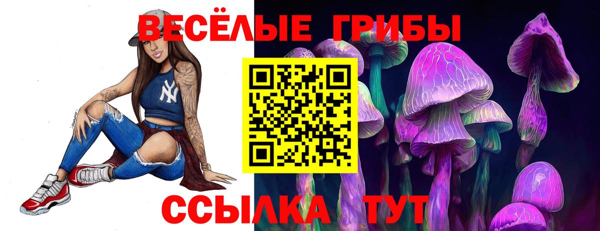 Камышин  Галлюциногенные грибы GOLDEN TEACHER  Вход с VPN 